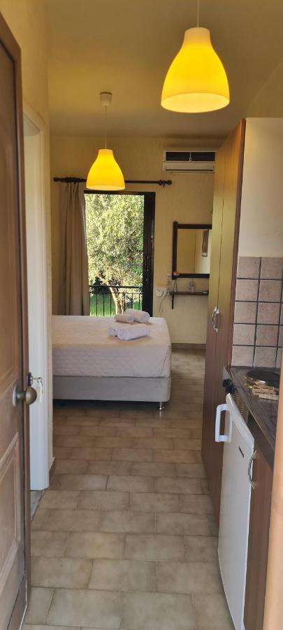 Doras Zante Studios & Apartments アルガッシ エクステリア 写真