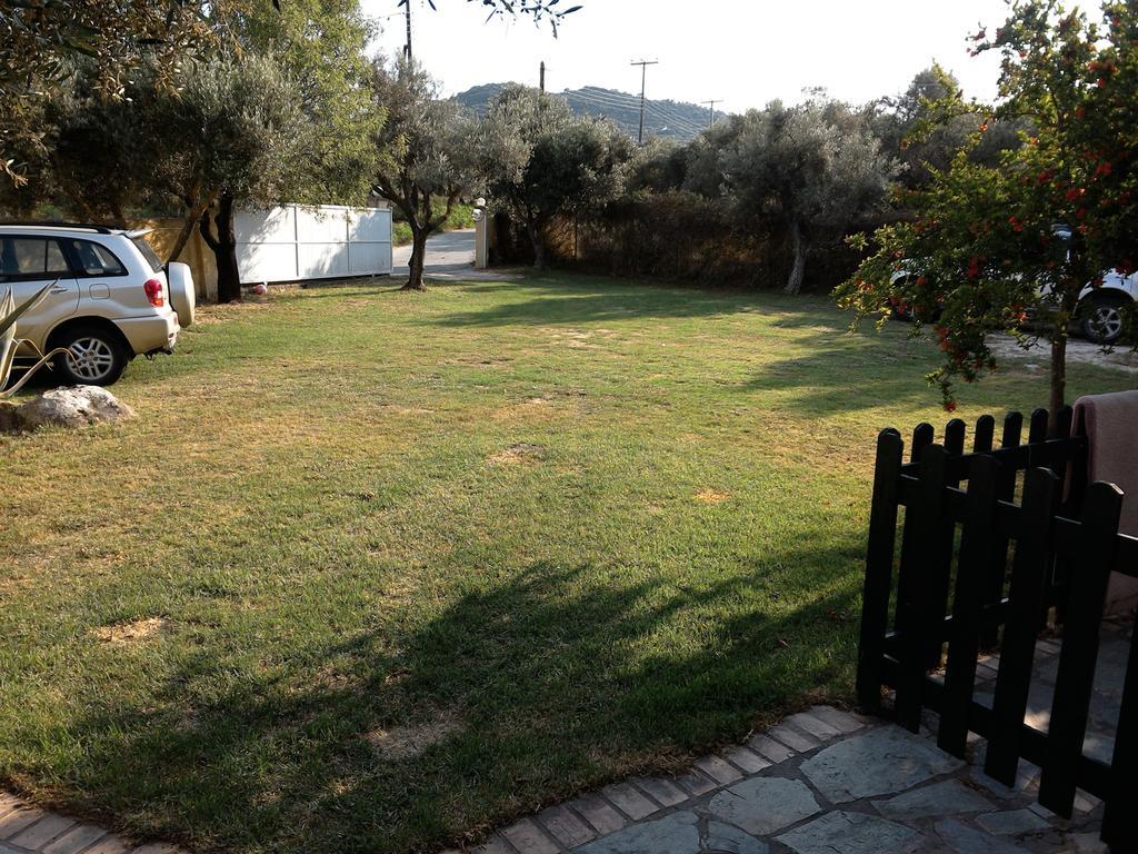 Doras Zante Studios & Apartments アルガッシ エクステリア 写真