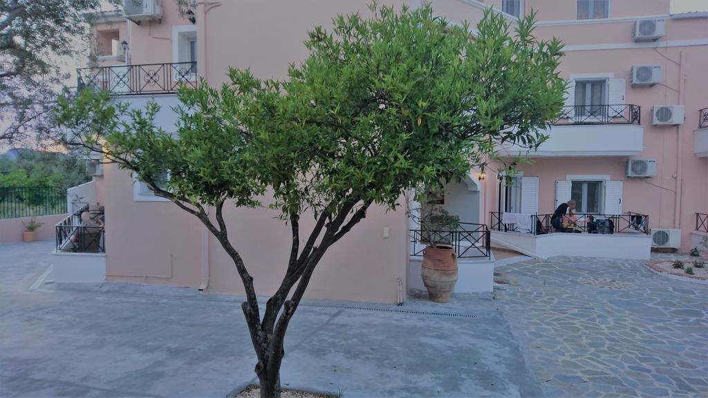 Doras Zante Studios & Apartments アルガッシ エクステリア 写真