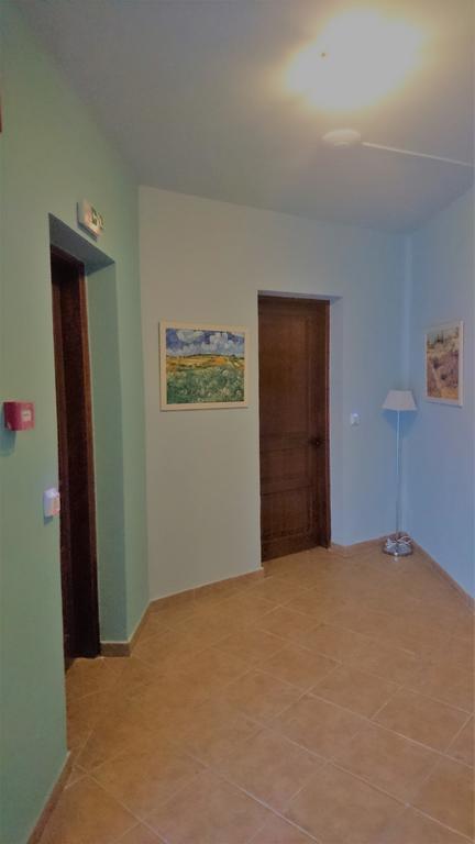 Doras Zante Studios & Apartments アルガッシ エクステリア 写真