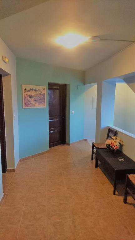 Doras Zante Studios & Apartments アルガッシ エクステリア 写真